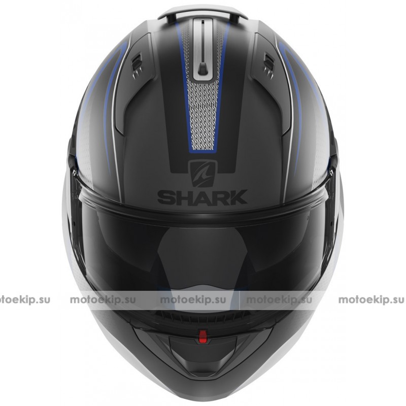 Shark evo one astor on sale