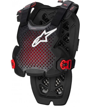 Защита тела Alpinestars A-10 Pro