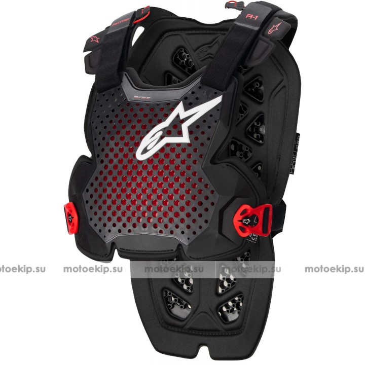 Защита тела Alpinestars A-10 Pro