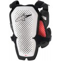 Защита тела Alpinestars A-10 Pro
