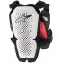Защита тела Alpinestars A-10 Pro