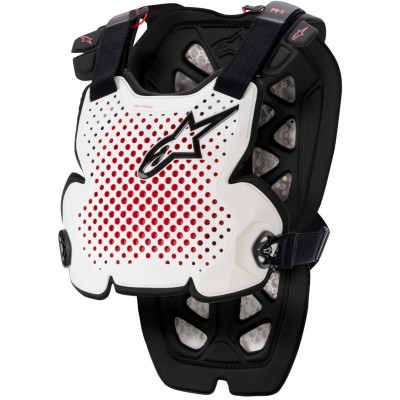 Защита тела Alpinestars A-10 Pro