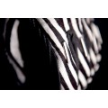 Мотоперчатки Icon 1000 Catwalk Short Glove