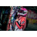 Шлем интеграл Icon Airframe Pro Beastie Bunny