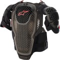 Защита тела Alpinestars A-6