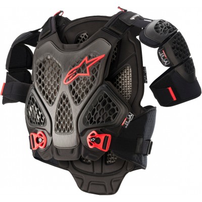 Защита тела Alpinestars A-6