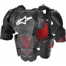 Защита тела Alpinestars A-10 V2