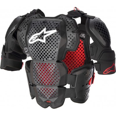 Защита тела Alpinestars A-10 V2