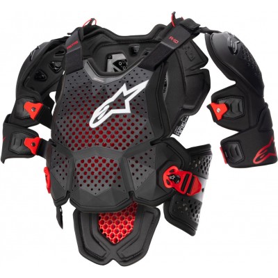 Защита тела Alpinestars A-10 V2