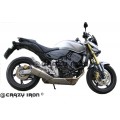 Дуги HONDA CB600FA Hornet от `07- Дуги HONDA CB600FA Hornet от `07-