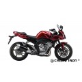 Дуги YAMAHA FZ1 ; FZ8 от 06- Дуги YAMAHA FZ1 ; FZ8 от 06-