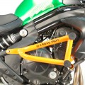 Клетка PRO KAWASAKI ER6N от `12-