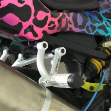 Сабкейдж HONDA CBR600F4i Sport