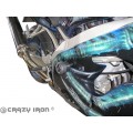 Слайдеры KAWASAKI ZX10R -`04-`05 передние
