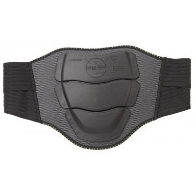 Защита спины Dainese New Bap D1
