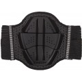 Zandona Shield Evo X3 Поясничный протектор