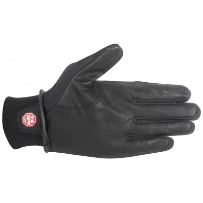 Мотоперчатки Alpinestars Stella C-1 Windstopper Lady