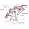 Ботинки TCX X-Tour Evo Gore-Tex Touring