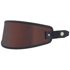 Визор Nexx X.G100