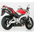 Shark Dual Exhaust System Track 1000 EG/BE