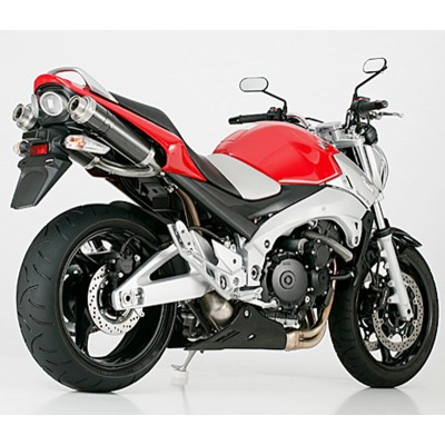 Shark Dual Exhaust System Track 1000 EG/BE