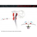 Alpinestars Bionic Neck Support Tech Carbon