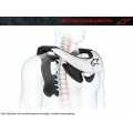 Alpinestars Bionic Neck Support Tech Carbon