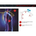 Alpinestars Bionic Neck Support Tech Carbon